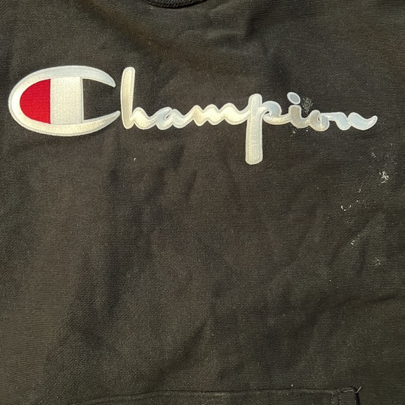 Men's Champion Hoodie - Picture 5 of 6